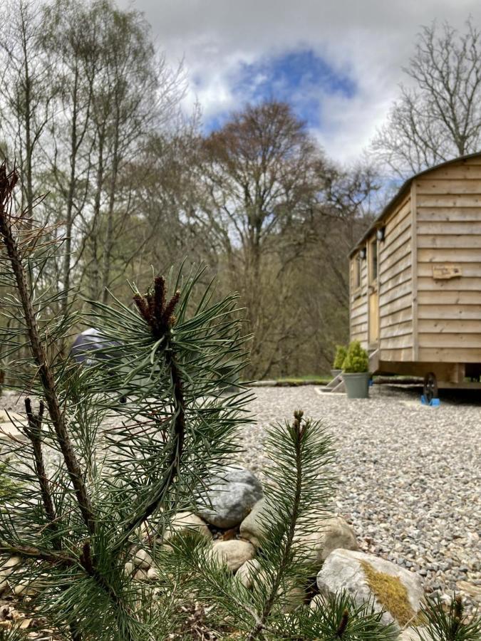 דרמנדרוכיט Highland Bear Lodge & Luxury Bear Huts מראה חיצוני תמונה