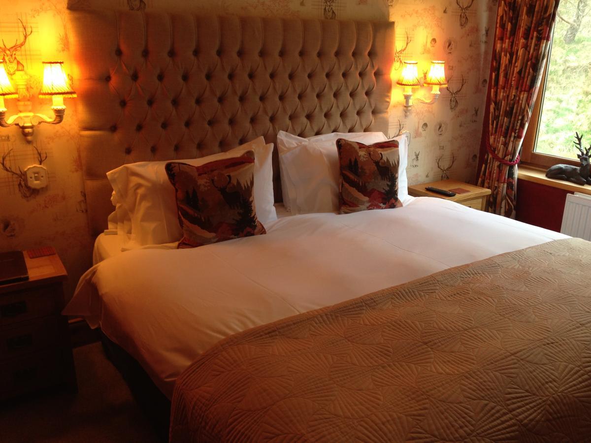 דרמנדרוכיט Highland Bear Lodge & Luxury Bear Huts מראה חיצוני תמונה