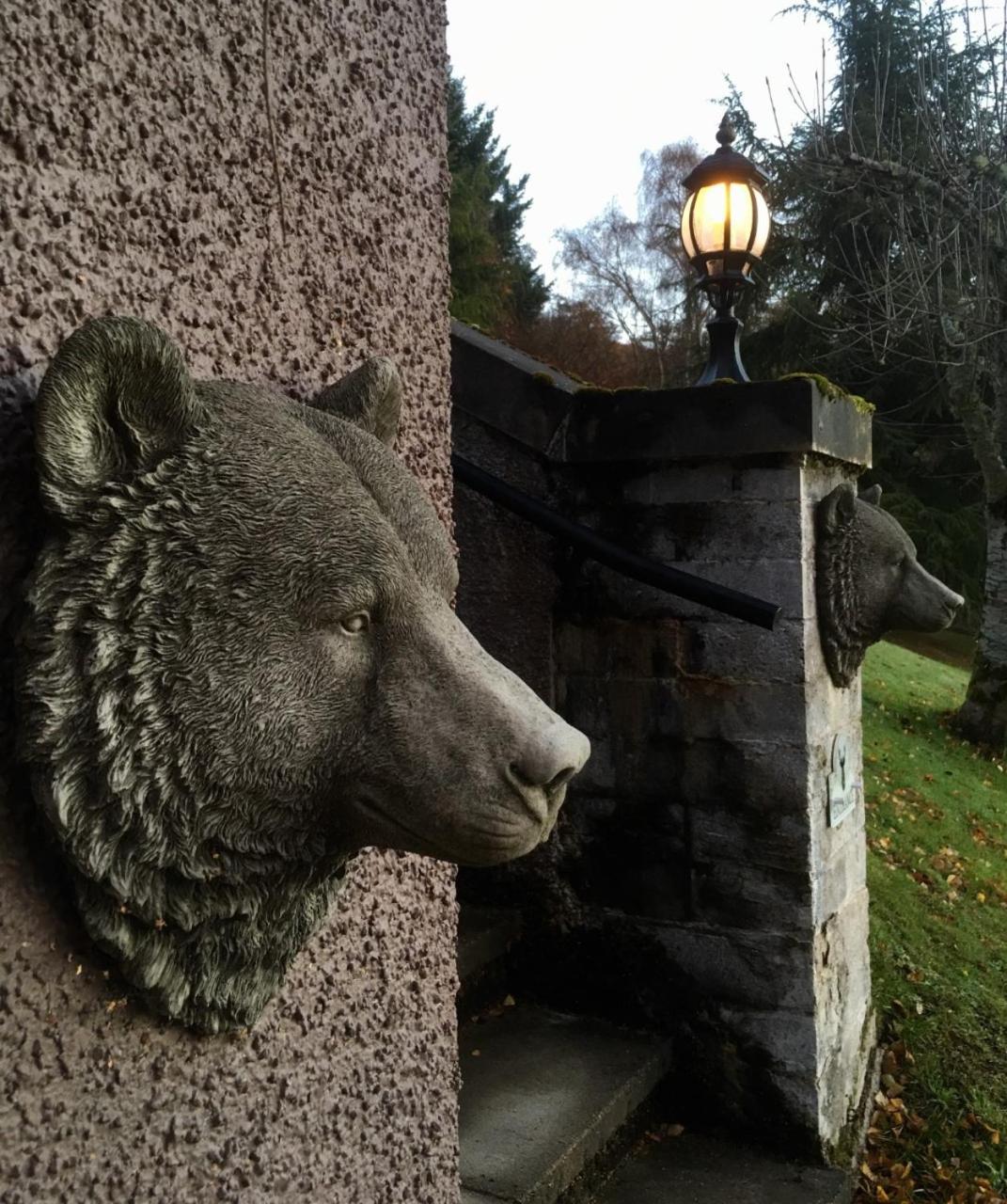 דרמנדרוכיט Highland Bear Lodge & Luxury Bear Huts מראה חיצוני תמונה