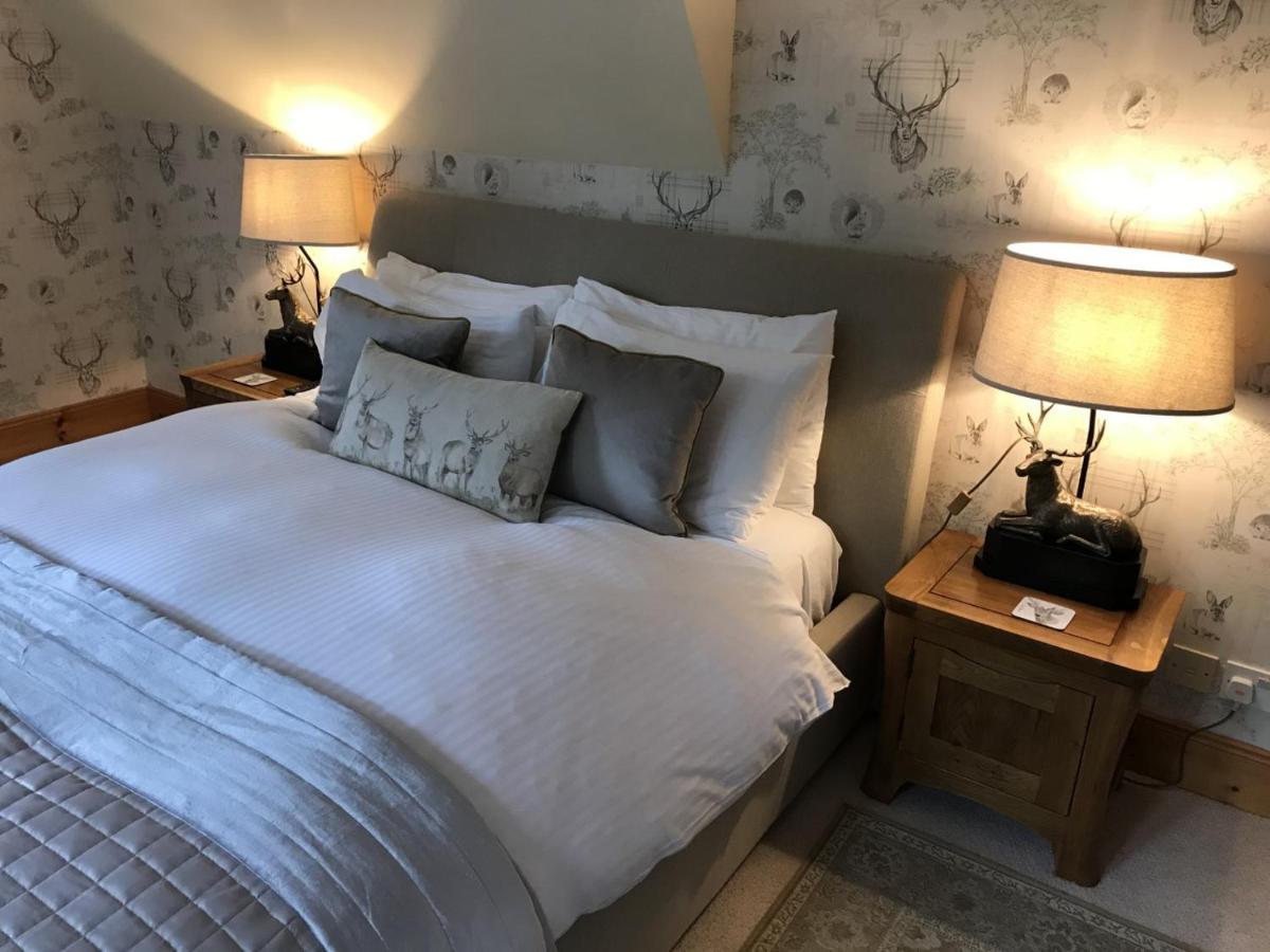 דרמנדרוכיט Highland Bear Lodge & Luxury Bear Huts מראה חיצוני תמונה