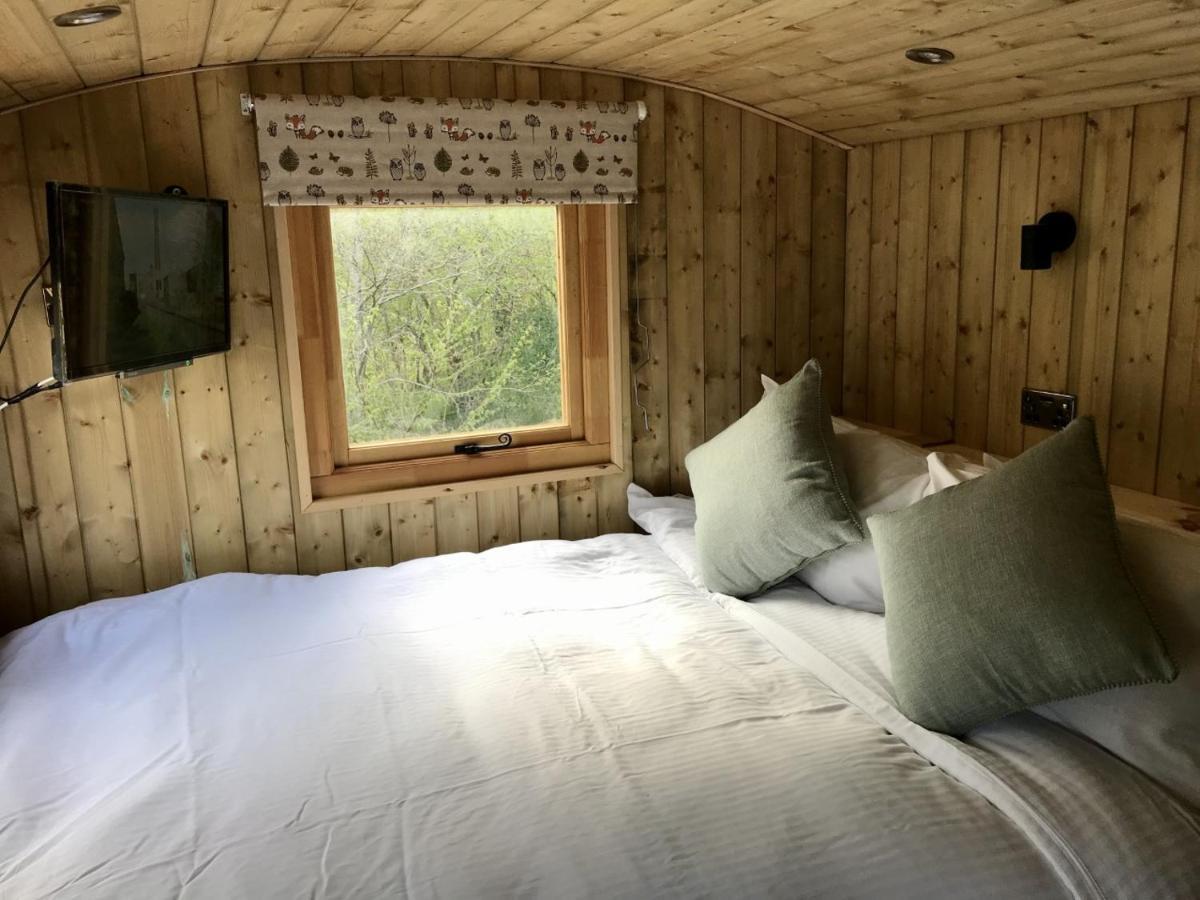 דרמנדרוכיט Highland Bear Lodge & Luxury Bear Huts מראה חיצוני תמונה