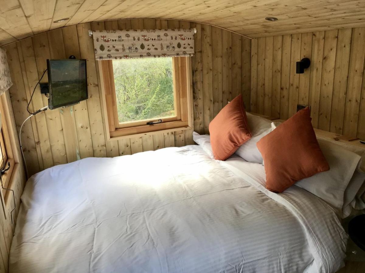 דרמנדרוכיט Highland Bear Lodge & Luxury Bear Huts מראה חיצוני תמונה